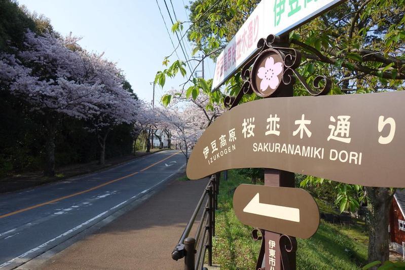 伊豆高原 温泉付別荘 Isana Mountain Villa Futo Ngoại thất bức ảnh